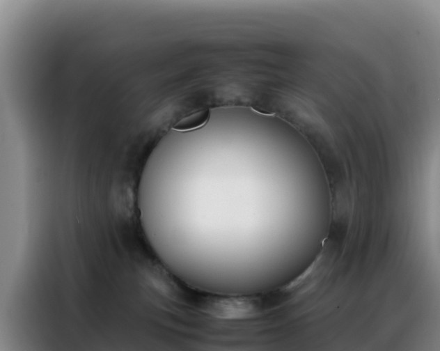 X0000088150183200705211203