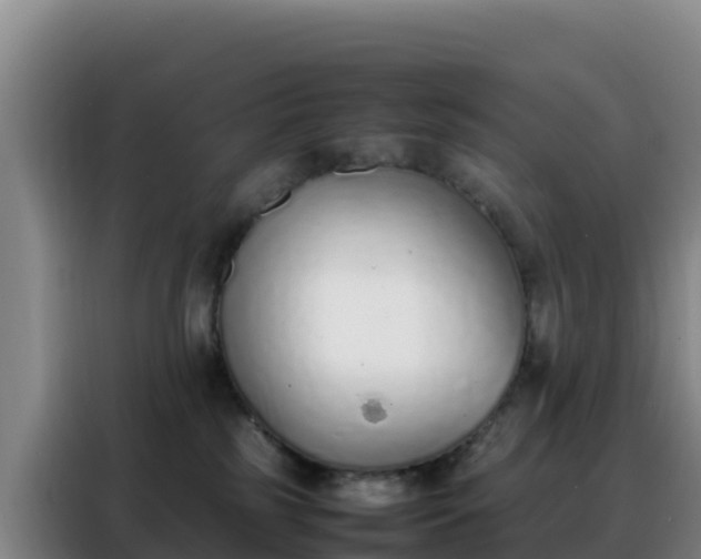 X0000088150185200705211203