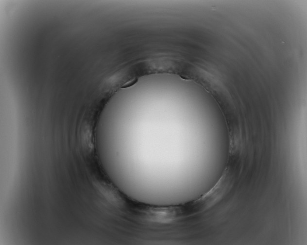 X0000088150187200705211203