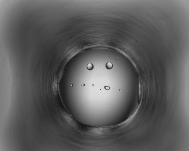 X0000088150190200705211203