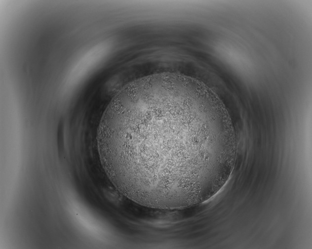 X0000088150191200705211203