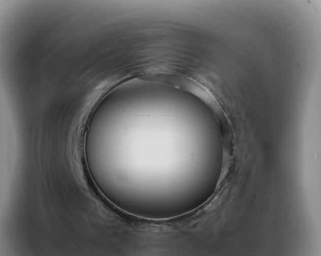 X0000088150193200705211203