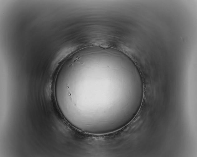 X0000088150194200705211203