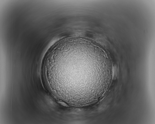 X0000088150195200705211203