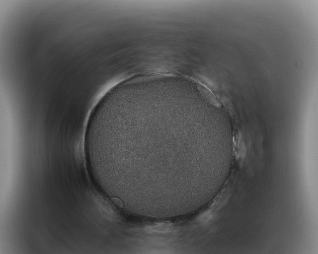 X0000088150196200705211203