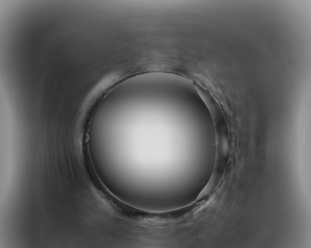 X0000088150197200705211203