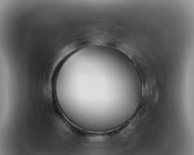 X0000088150198200705211203