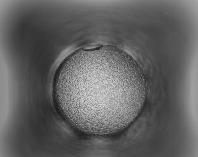 X0000088150199200705211203