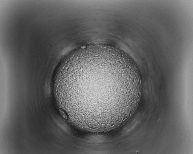 X0000088150203200705211203