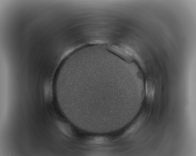 X0000088150204200705211203