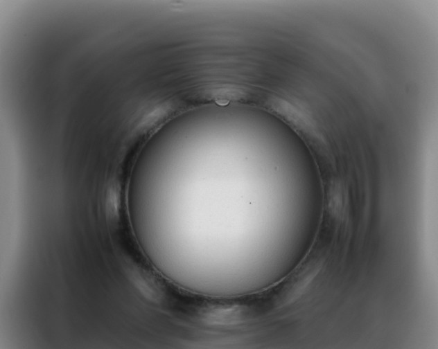 X0000088150206200705211203