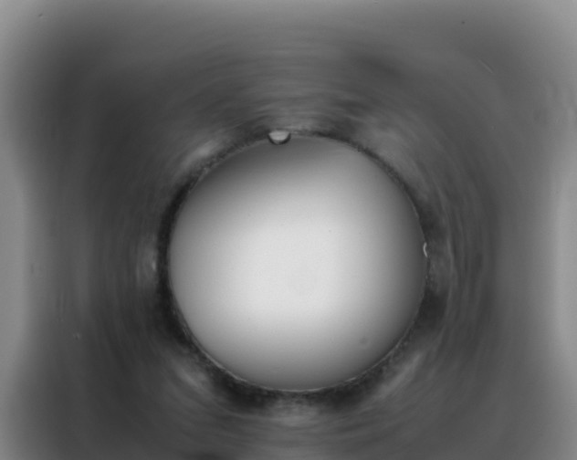 X0000088150207200705211203