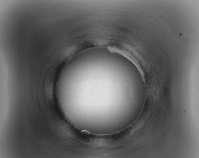 X0000088150209200705211203