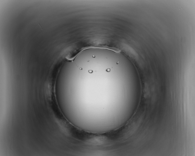 X0000088150210200705211203