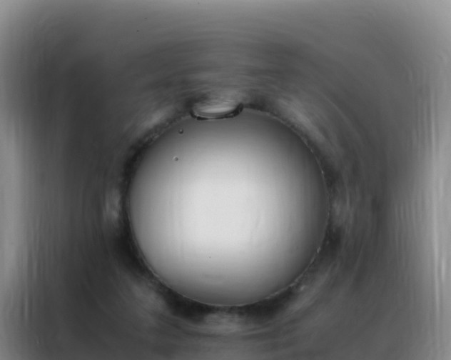 X0000088150211200705211203