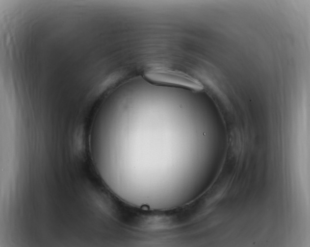 X0000088150212200705211203