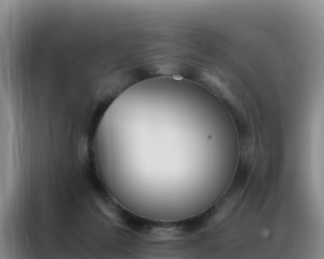 X0000088150213200705211203