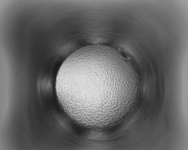 X0000088150214200705211203