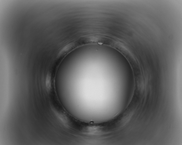 X0000088150216200705211203