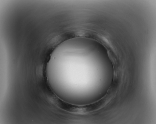 X0000088150217200705211203