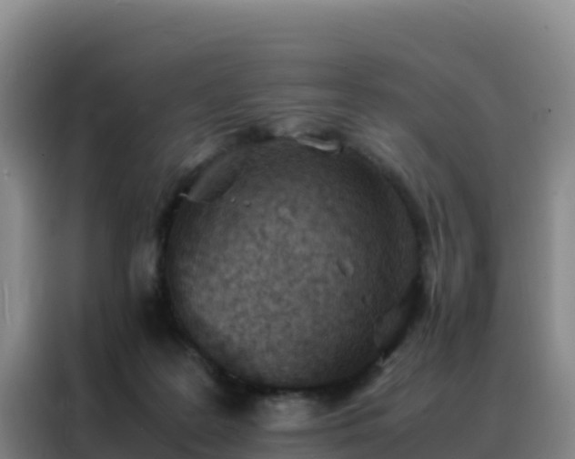 X0000088150219200705211202