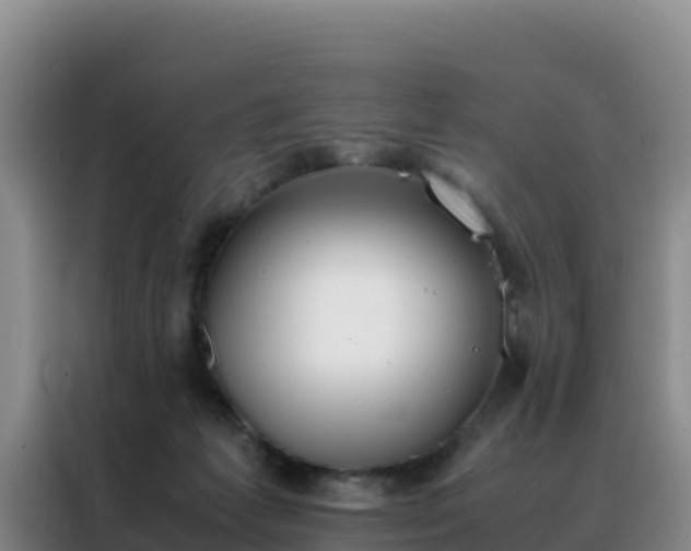 X0000088150221200705211202