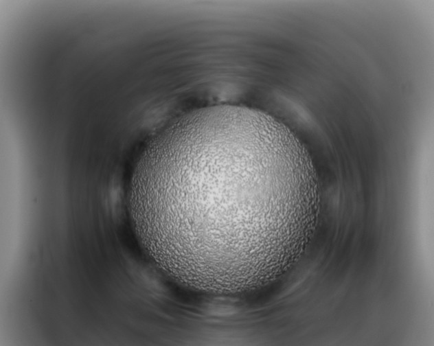 X0000088150222200705211202