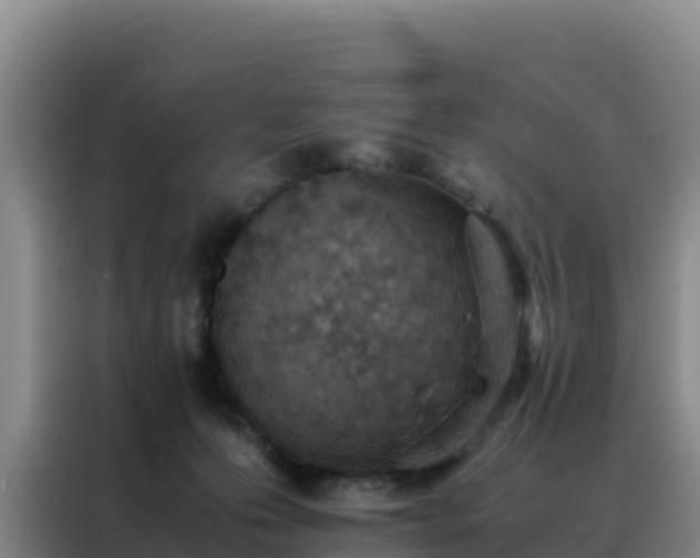 X0000088150223200705211202