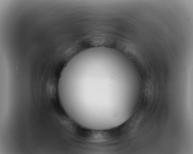 X0000088150226200705211202