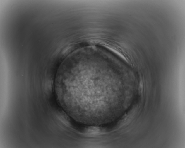 X0000088150227200705211202