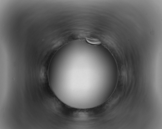 X0000088150228200705211202