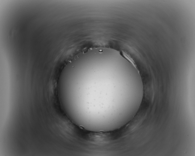 X0000088150229200705211202