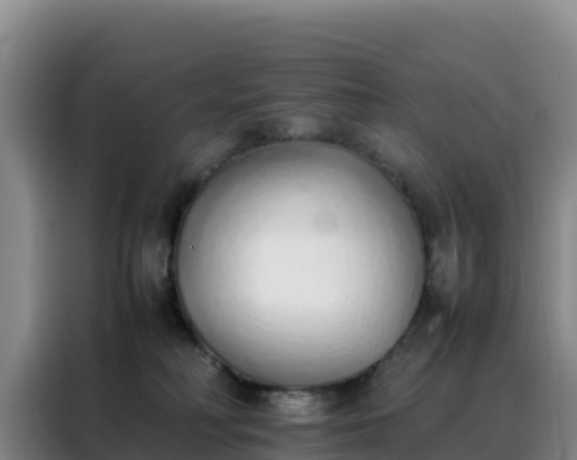 X0000088150230200705211202