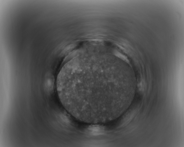 X0000088150231200705211202