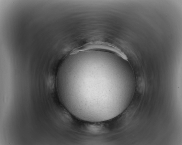 X0000088150232200705211202