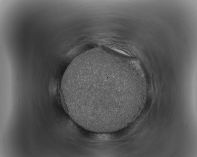 X0000088150233200705211202