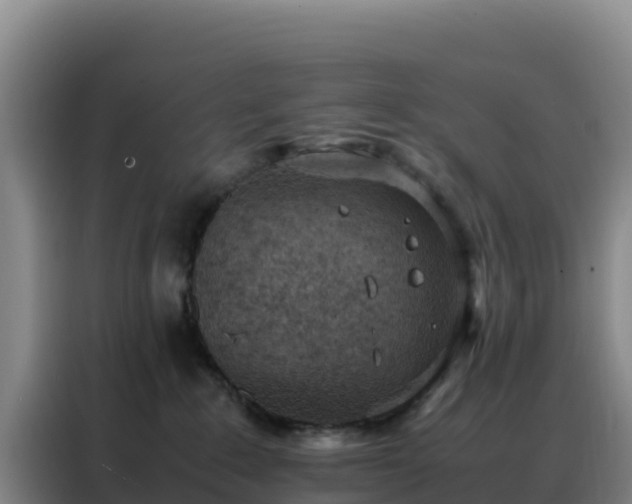 X0000088150235200705211202