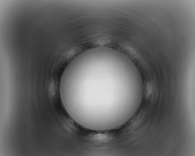 X0000088150236200705211202