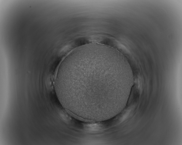 X0000088150237200705211202