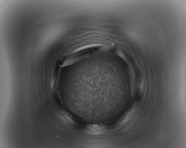 X0000088150239200705211202