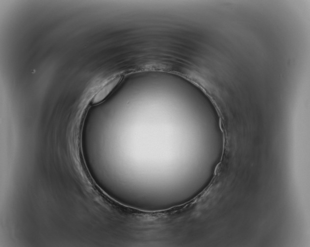 X0000088150241200705211202