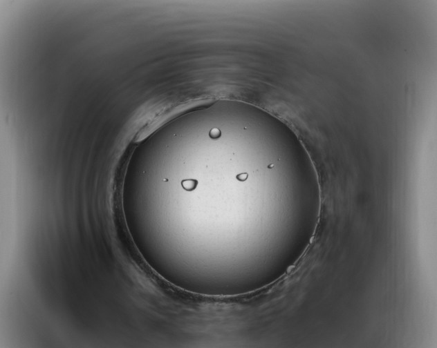 X0000088150242200705211202