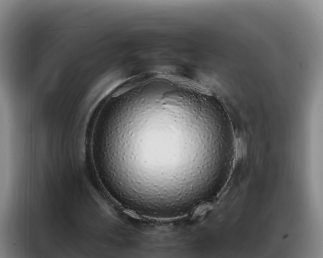 X0000088150243200705211202