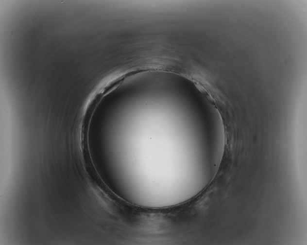 X0000088150244200705211202