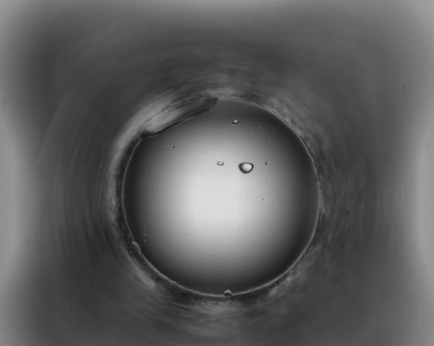 X0000088150245200705211202