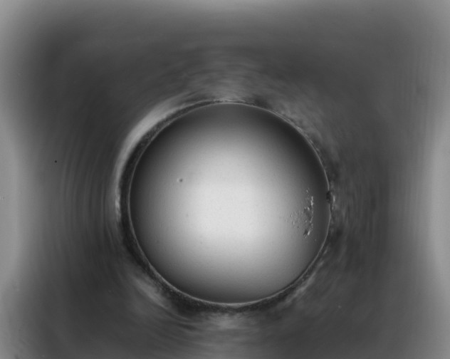 X0000088150246200705211202