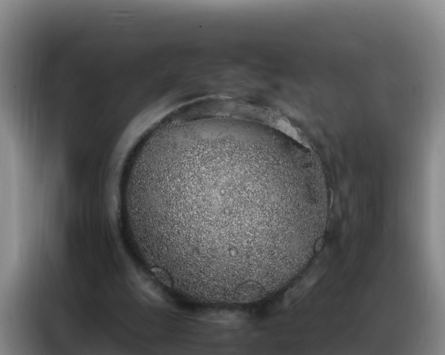 X0000088150247200705211202