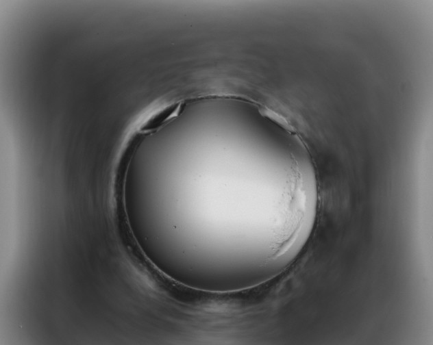 X0000088150248200705211202