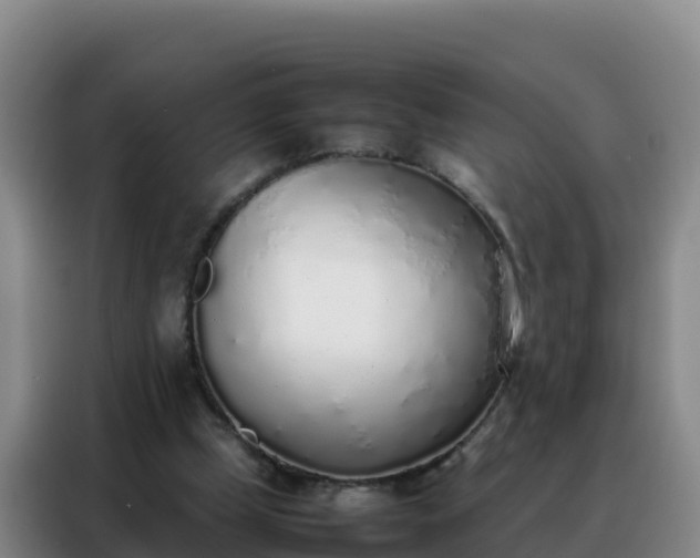 X0000088150249200705211202