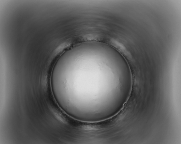 X0000088150250200705211202